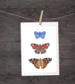 Butterfly Collection A5 Digital Print - Image 2