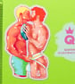LOVERS Fridge Magnets - Image 7