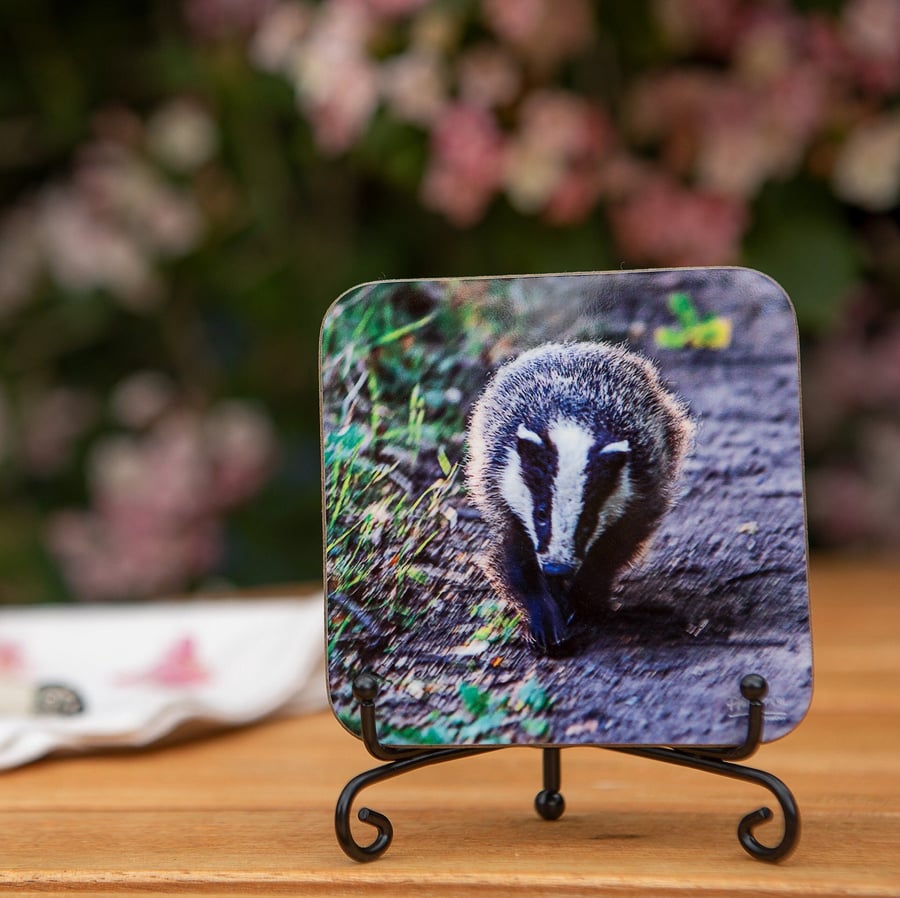 Badger Wooden Coaster - Original Animal Photo Gifts - Wildlife Scene Coaster - D