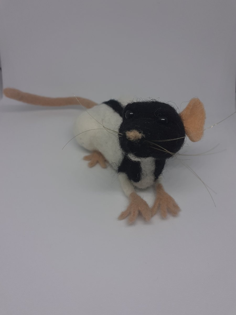 Needle Felted Black Hooded Rat