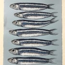 SARDINES painting in gauche, A5