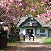 Rural Life Living Museum