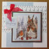 7x7" Squirrel & Robin Christmas Card