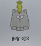 Grumpy Cat Birthday Card - How Old? - Image 6