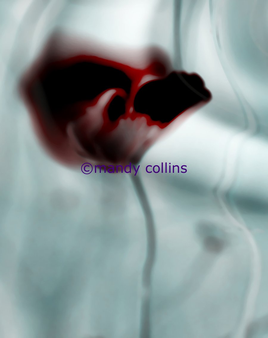 'Abstract Poppy'  - A4 Archival Matte Giclee print