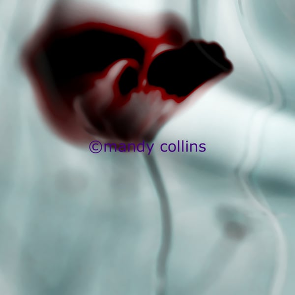 'Abstract Poppy'  - A4 Archival Matte Giclee print