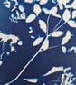 Cyanotype Botanical Print No. 8 - Image 3