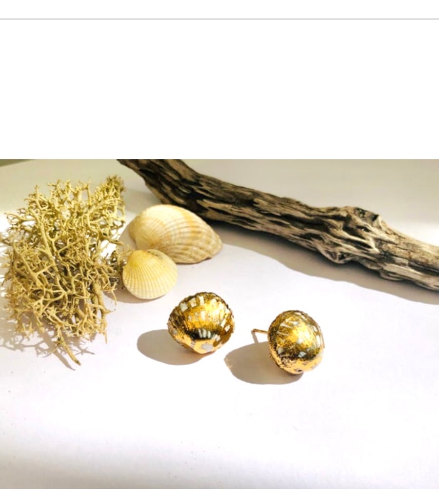 Beautiful  Shell stud earrings, shell,  