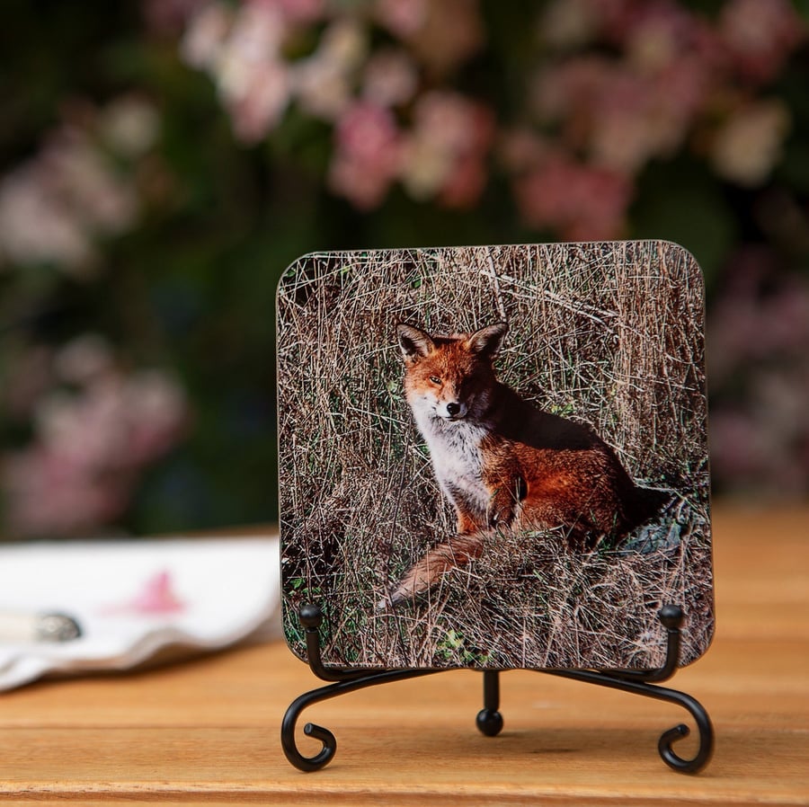 Fox Wooden Coaster - Original Animal Photo Gifts - Wildlife Scene Coaster - Drin