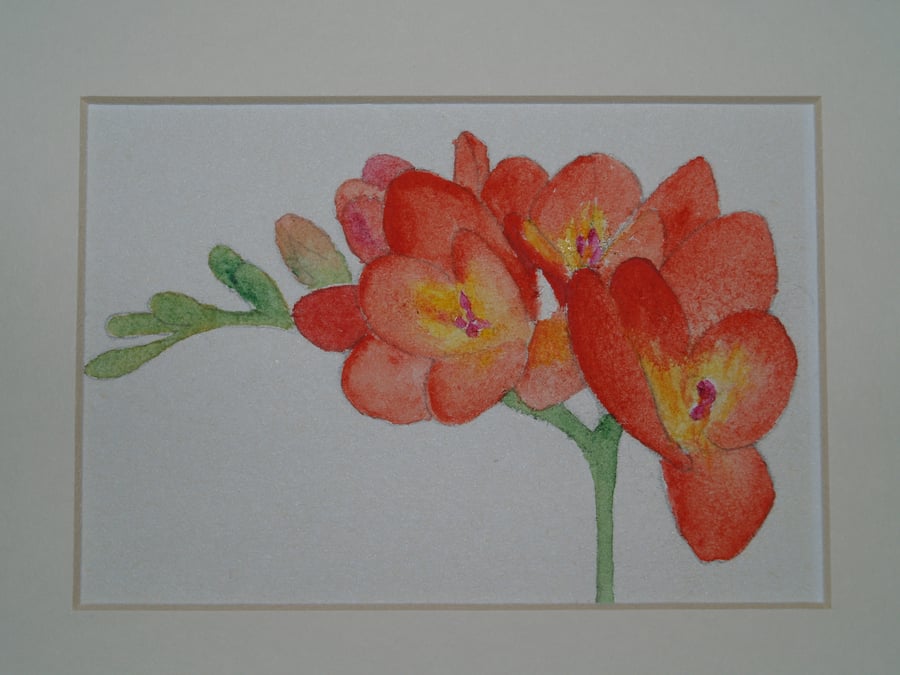 Original acrylic Freesia painting