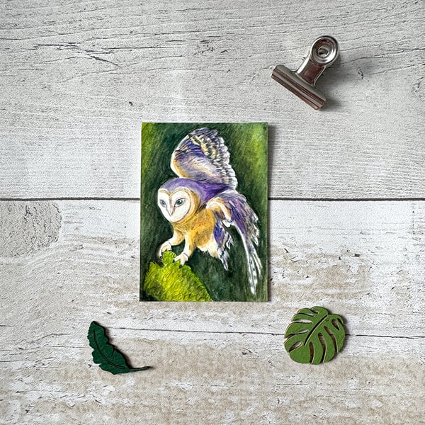 Barn Owl Miniature Original ACEO painting - One of a kind