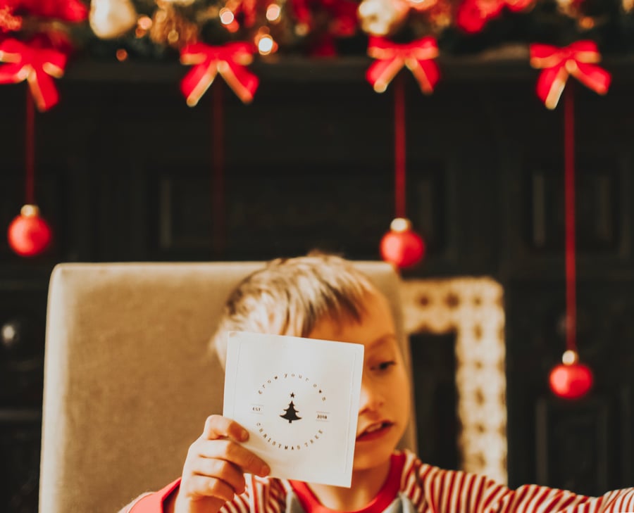 Grow Your Own Christmas Tree Seed Packet