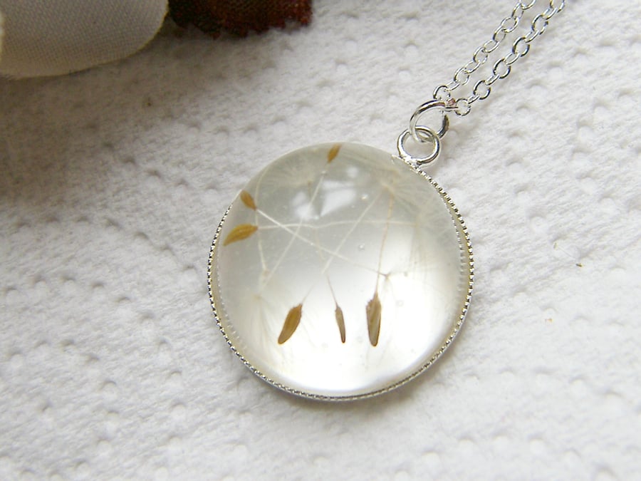 Real Dandelion Seeds Wish Necklace Botanical Specimen - MAKE A WISH