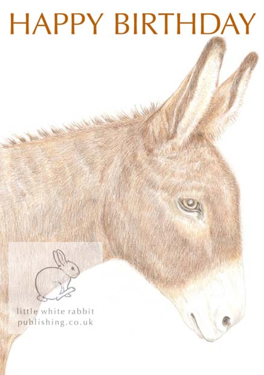 Dougal the Donkey - Birthday Card