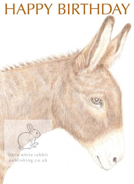 Dougal the Donkey - Birthday Card