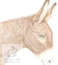 Dougal the Donkey - Birthday Card - Image 1