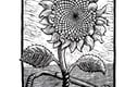 woodcuts