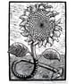Sunflowerhoovering