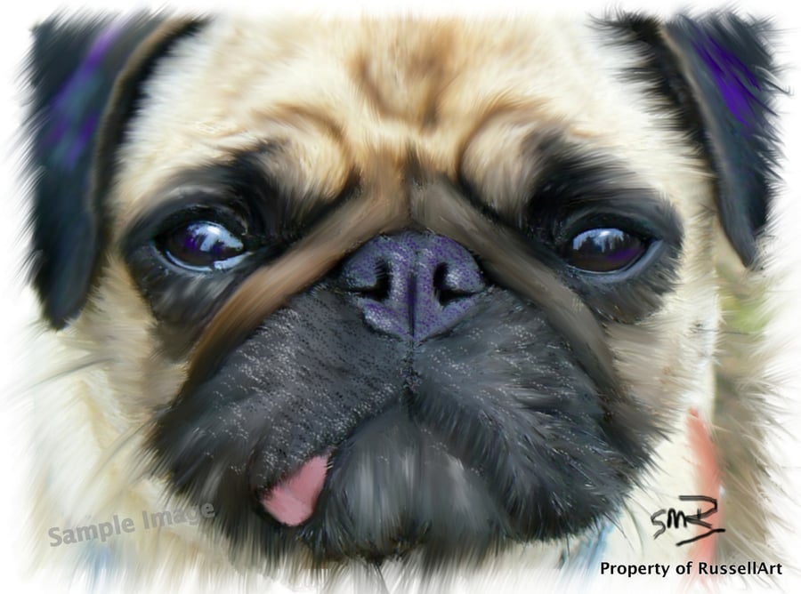 PUG -  Dog A4 Size digital painting ART PRINT by Russellart