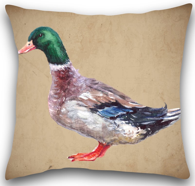 Duck Cushion Duck pillow 