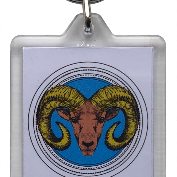 Aries Keyring (50x35mm Insert) - The Ram (21st March - 20th April)