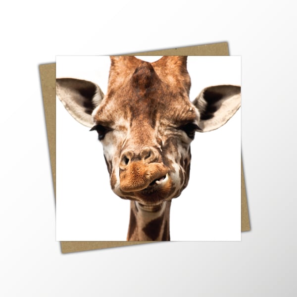 Giraffe Blank Note Card - Photo Greetings Card For Any Occasion