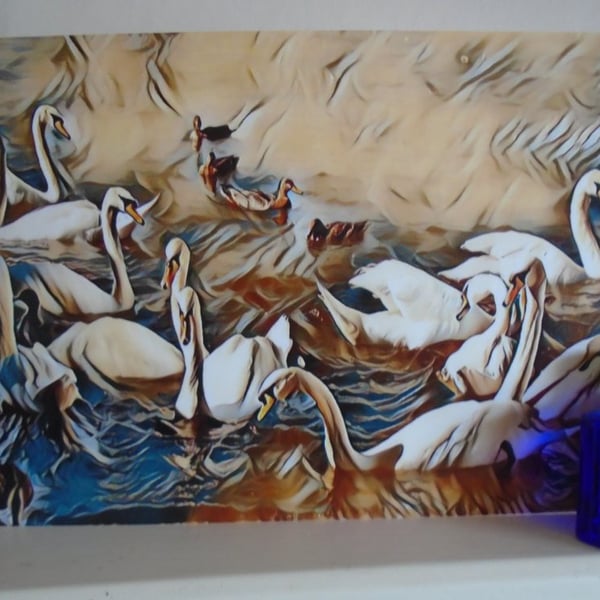 Swans & Ducks Blank Greeting Card & Envelope Unique Design 