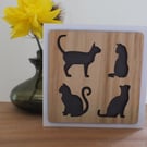 The "Four Cats" Greetings Card 