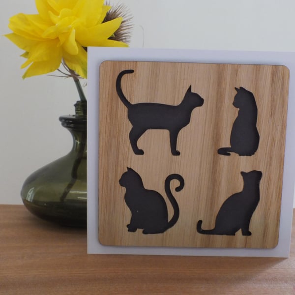 The "Four Cats" Greetings Card 