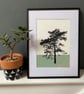 Ashdown Pine no.58, A4 original artwork, Green  - Image 3