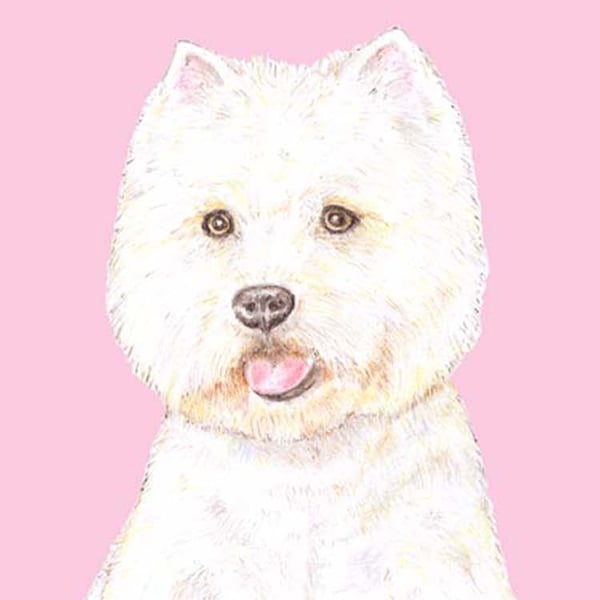 Rupert the Westie on Pink - Birthday Card