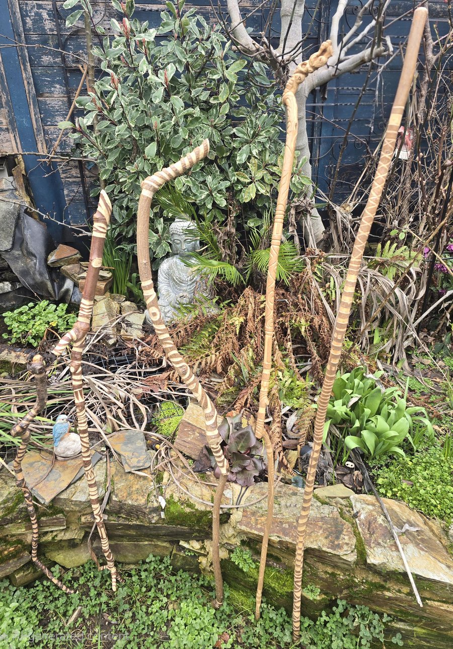 Hand carved walking sticks Ceremonial staff