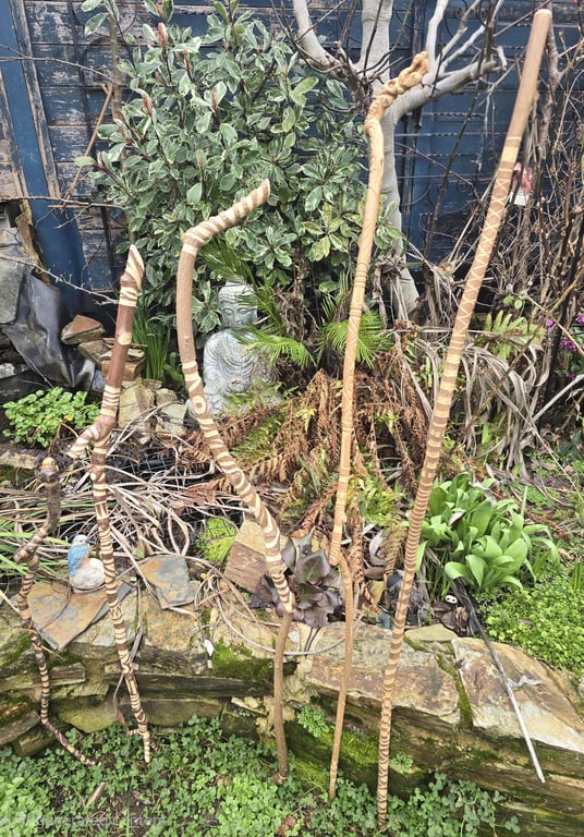 Hand carved walking sticks Ceremonial staff