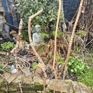 Hand carved walking sticks Ceremonial staff