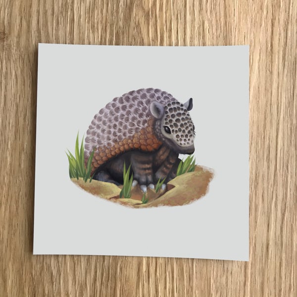 Armadillo Square Post Card Print