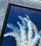 Original Cyanotype Photogram, Umbrella Fern, Float mounted. - Image 5