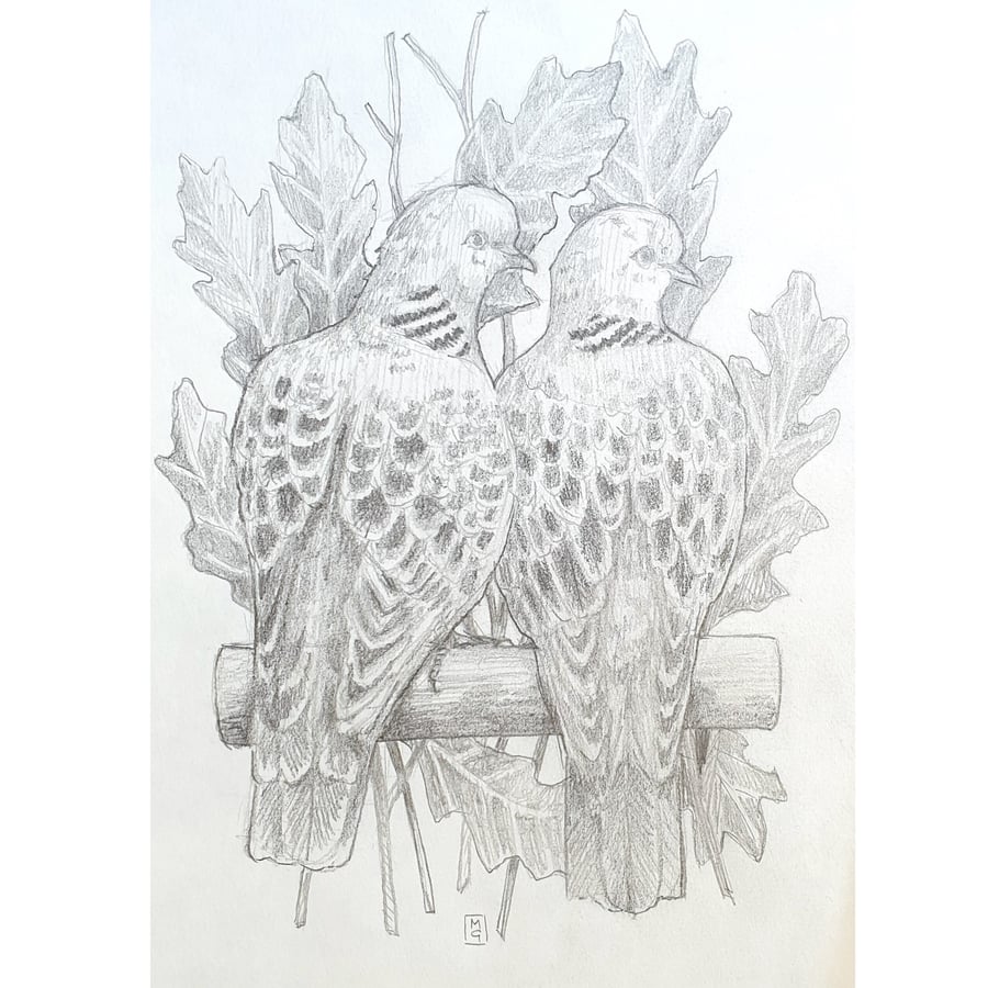 Two Turtle Doves drawing - Original bird art, pencil drawing