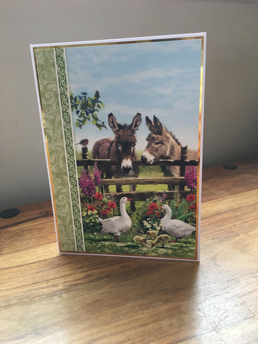 Handmade Birthday card - Donkeys - Blank inside