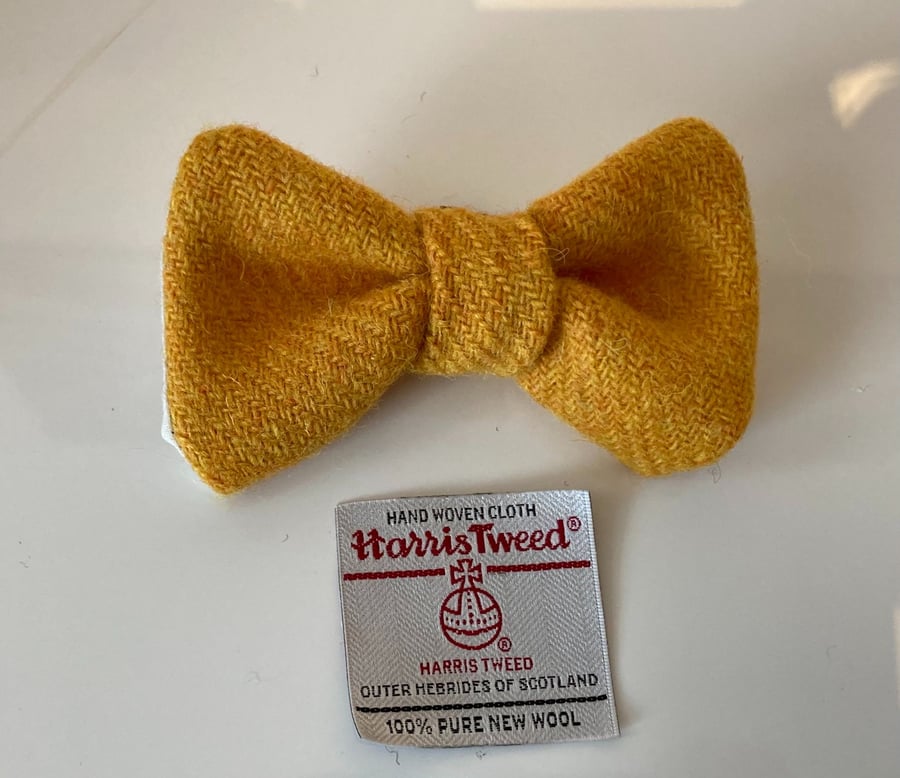 Harris Tweed Dog Bow Tie, Golden Yellow,over the collar bow tie