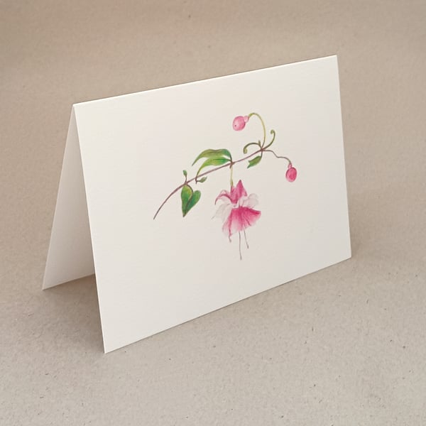 Pink Fuchsia flower note cards, printed reproduction of a pencil drawing