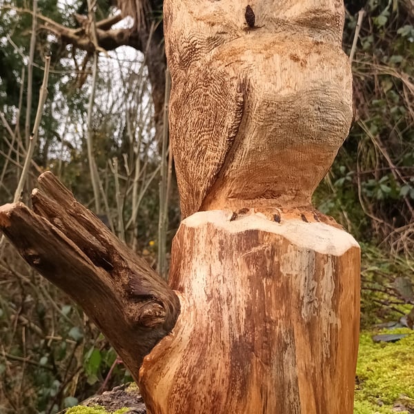 Hand Carved Scots Pine Owl