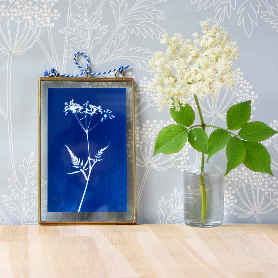 Cow Parsley Cyanotype No.6 in gold edged glass hanging frame
