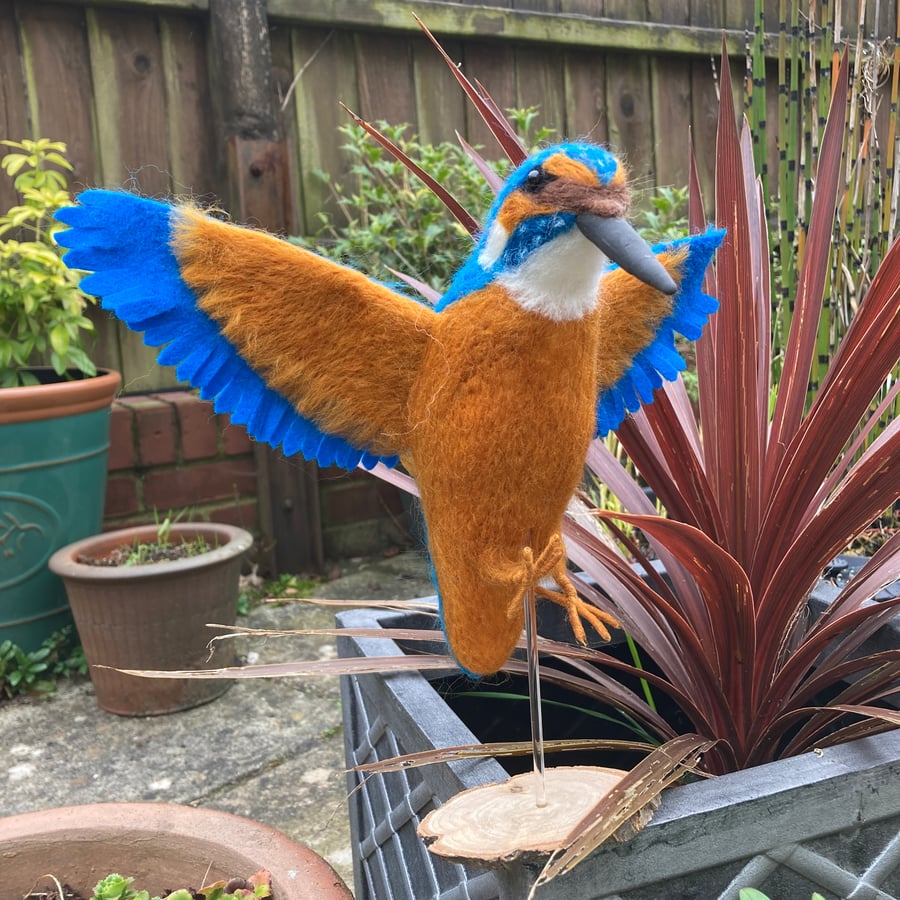  Kingfisher in flight, needle felted sculpture