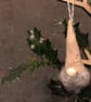 Ceramic Santa tree decoration - Image 1