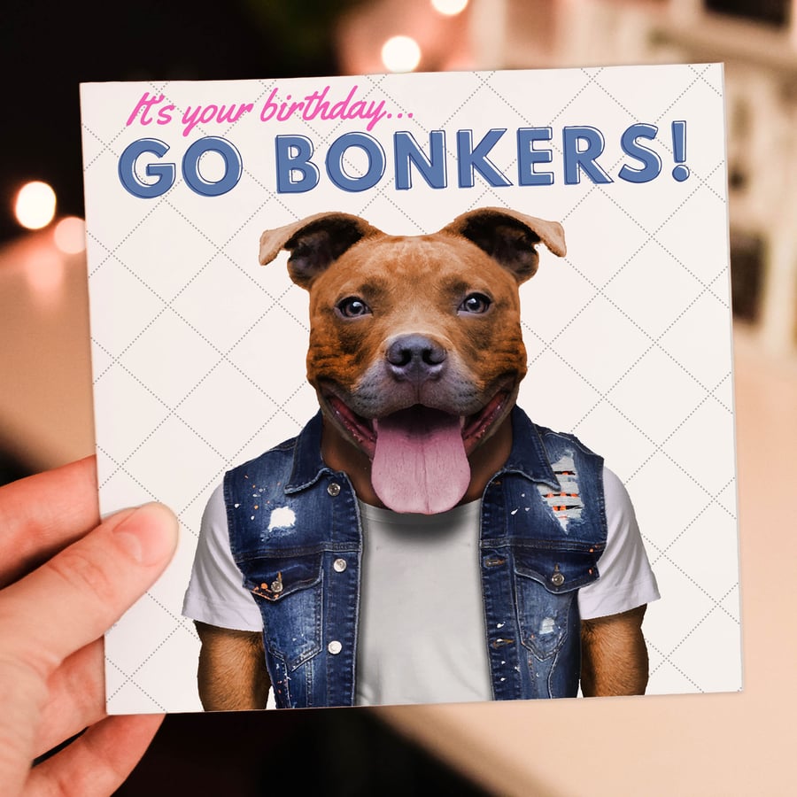 Staffy dog birthday card: Go bonkers