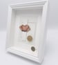 Coquelicot – Herbier Collection - Image 3