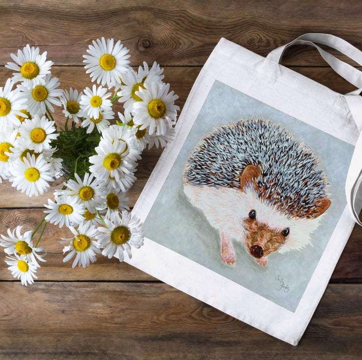 Gifts for Hedgehog Lovers