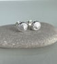 Sterling Silver Scallop Shell Stud Earrings - Image 5