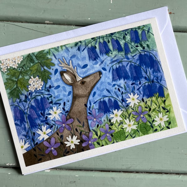 Bluebell Roe