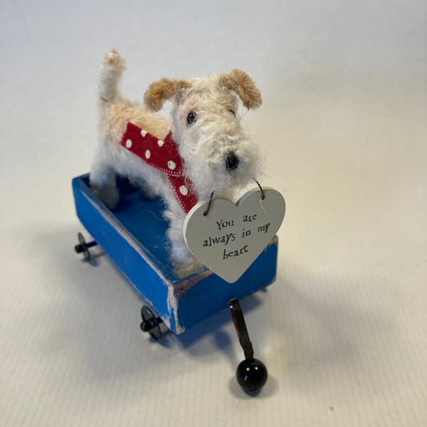 Fox Terrier - Roly 